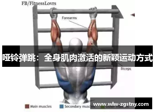 哑铃弹跳：全身肌肉激活的新颖运动方式