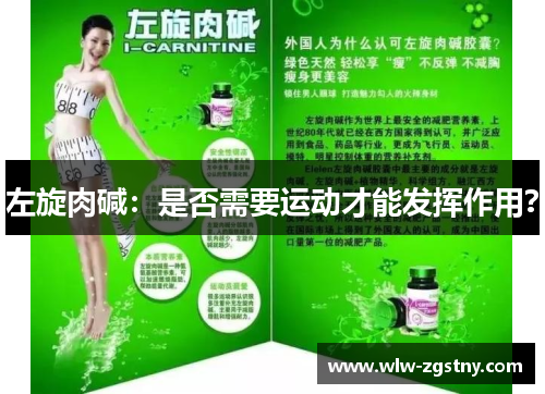 左旋肉碱：是否需要运动才能发挥作用？