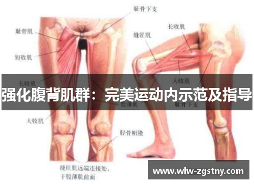 强化腹背肌群：完美运动内示范及指导